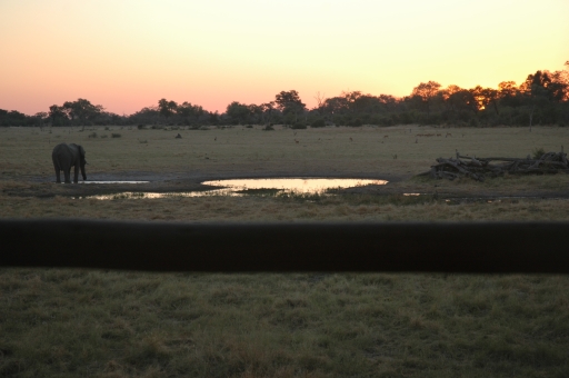 Sunset at the Savuti Hide 